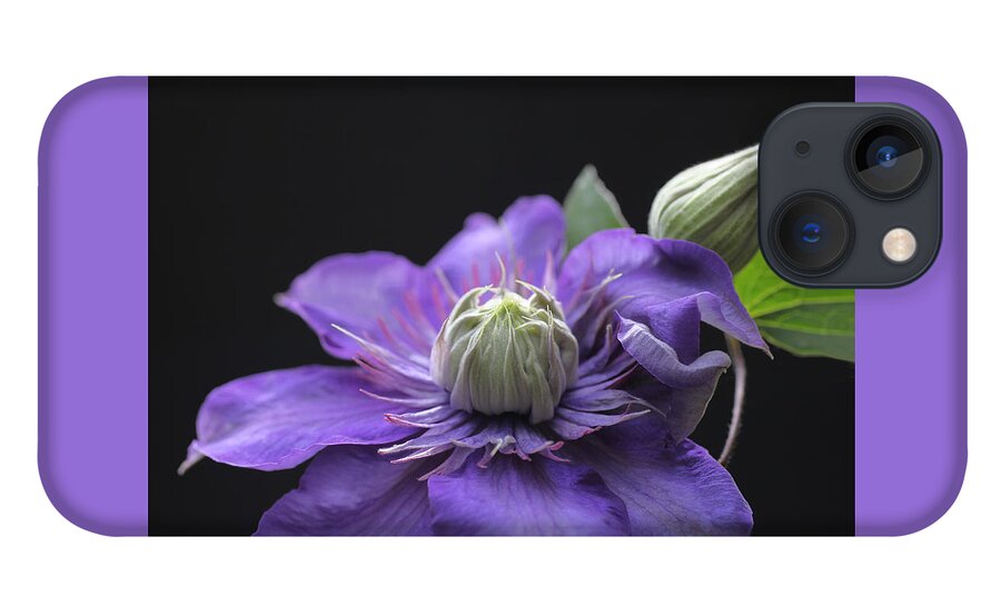 Abundant iPhone 13 Case featuring the photograph Abundant Clematis by Tammy Pool