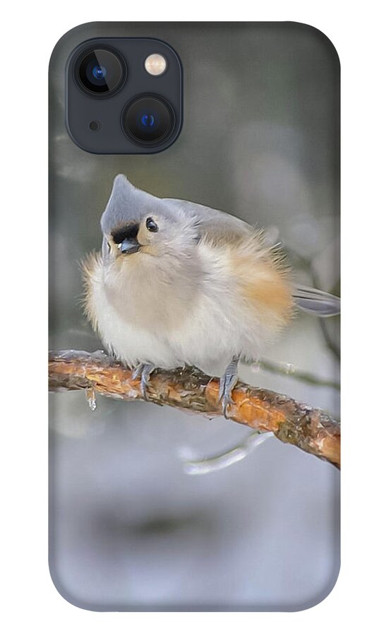 Ice iPhone 13 Case featuring the photograph After the Ice Storm by Holly Ross