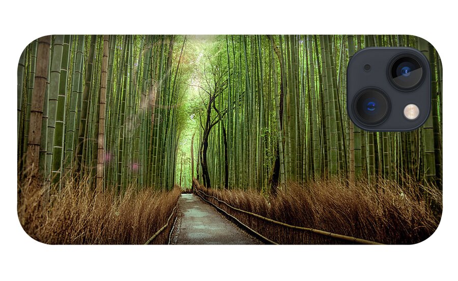 Bamboo iPhone 13 Case featuring the photograph Afternoon in the Bamboo by Rikk Flohr