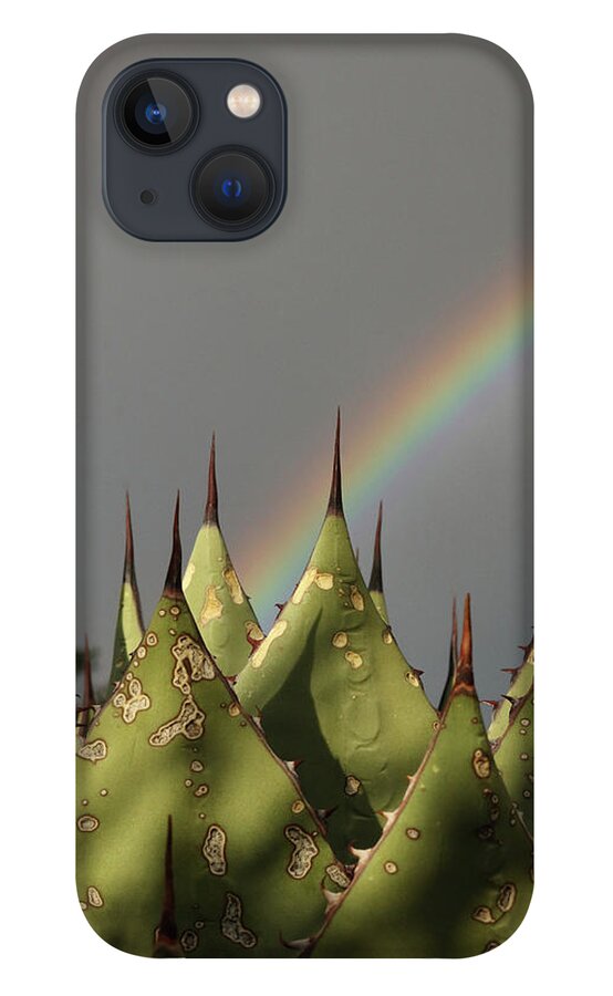 Agave iPhone 13 Case featuring the photograph Agave Rainbow by David Diaz