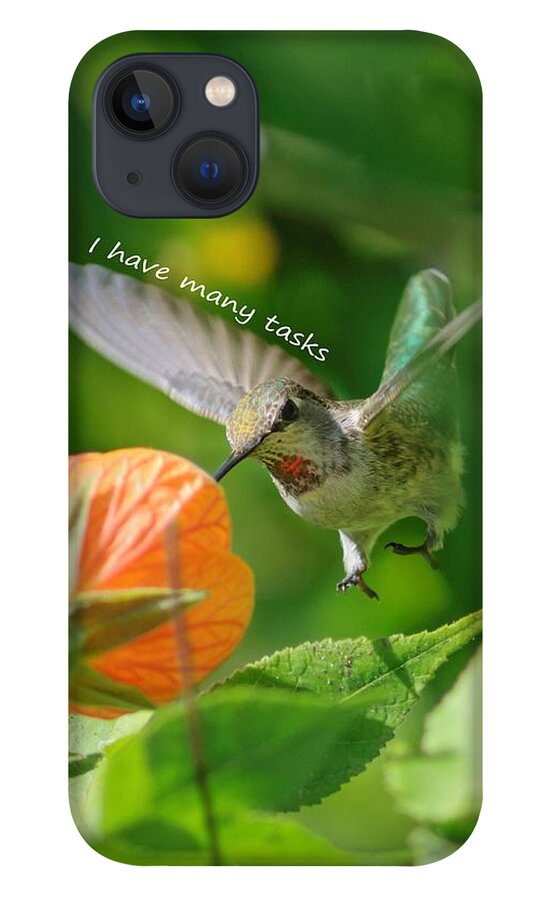  iPhone 13 Case featuring the photograph Allen's Hummingbird says I have many tasks by Sherry Clark