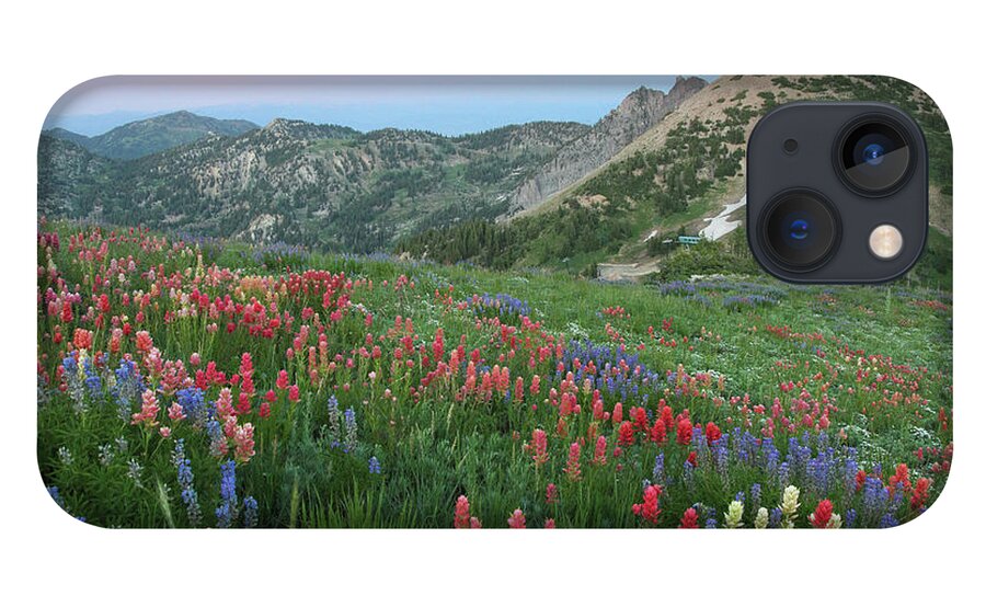Landscape iPhone 13 Case featuring the photograph Alpine Wildflowers and View at Sunset by Brett Pelletier