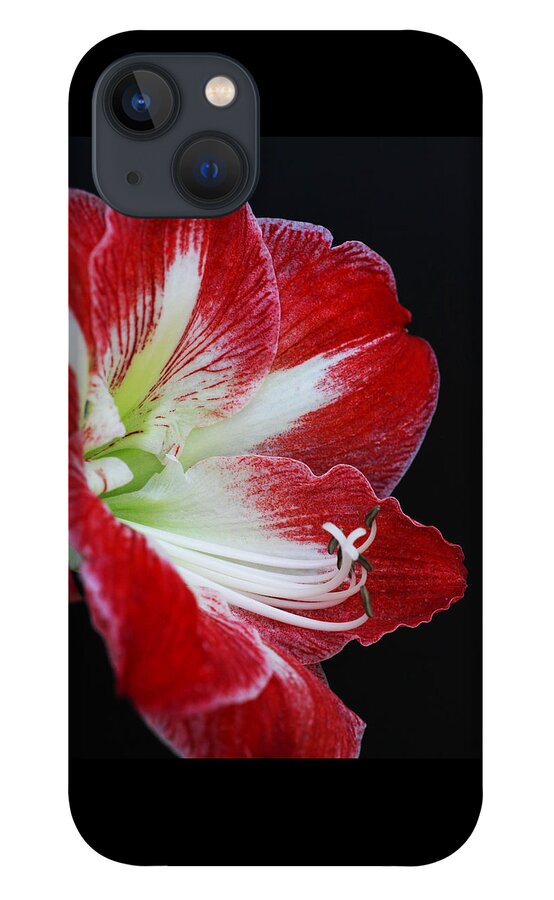 Flower iPhone 13 Case featuring the photograph Amaryllis by Tammy Pool