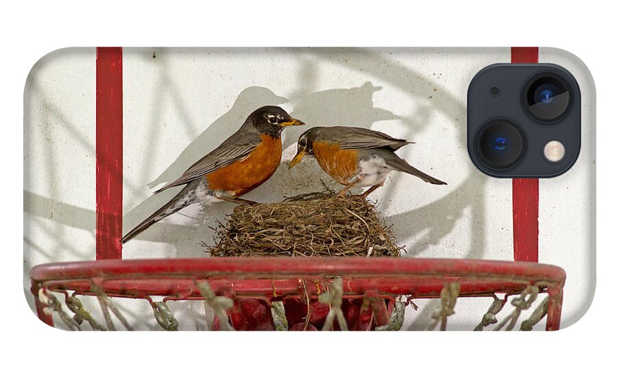 Robin iPhone 13 Case featuring the photograph American Robin Pair At Nest by Kenneth M. Highfill