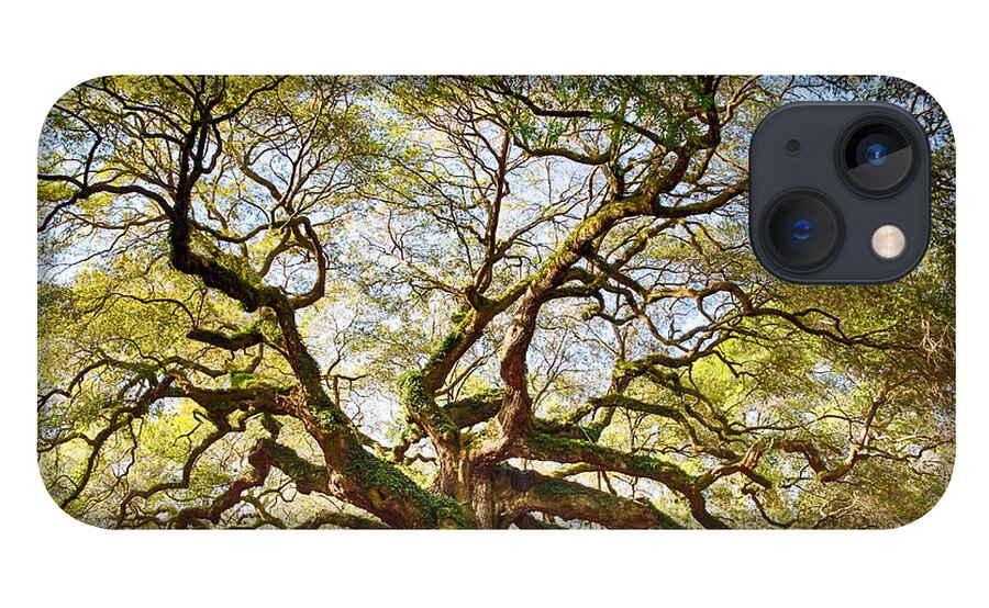 Tree iPhone 13 Case featuring the photograph Angel Oak in Spring by Patricia Schaefer