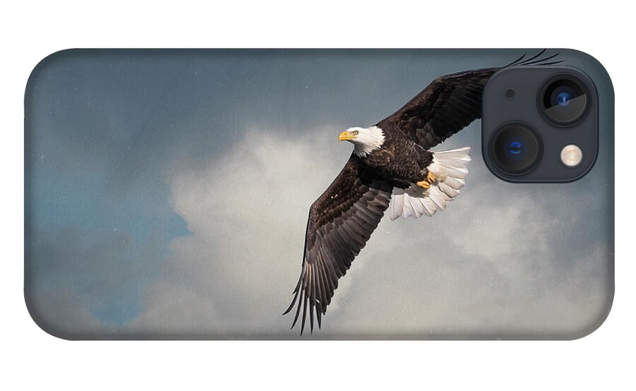 American Bald Eagle iPhone 13 Case featuring the photograph Artistic American Bald Eagle 2017-1 by Thomas Young