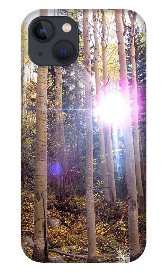 Aspen Trees iPhone 13 Case featuring the photograph Aspen Sunstar by Feather Redfox