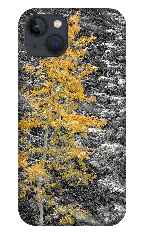 Landscape iPhone 13 Case featuring the photograph Aspen Tree in Snow Storm by Brett Pelletier