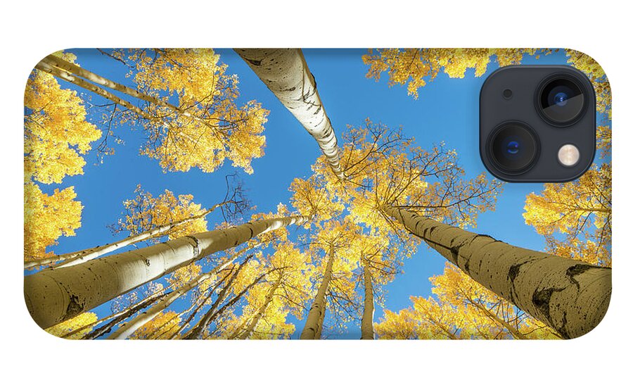 Fine Art Photography iPhone 13 Case featuring the photograph Aspens and Sky by John Strong
