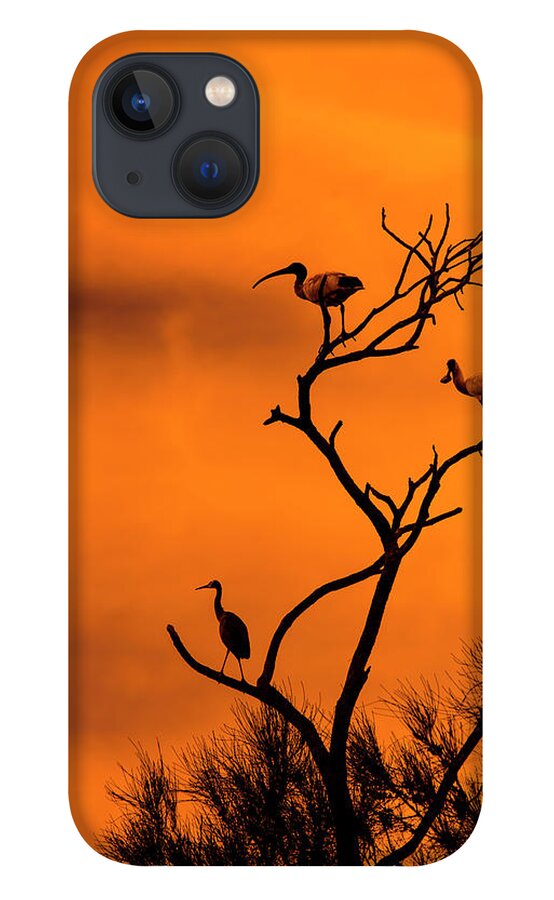 Birds iPhone 13 Case featuring the photograph At rest by Sheila Smart Fine Art Photography