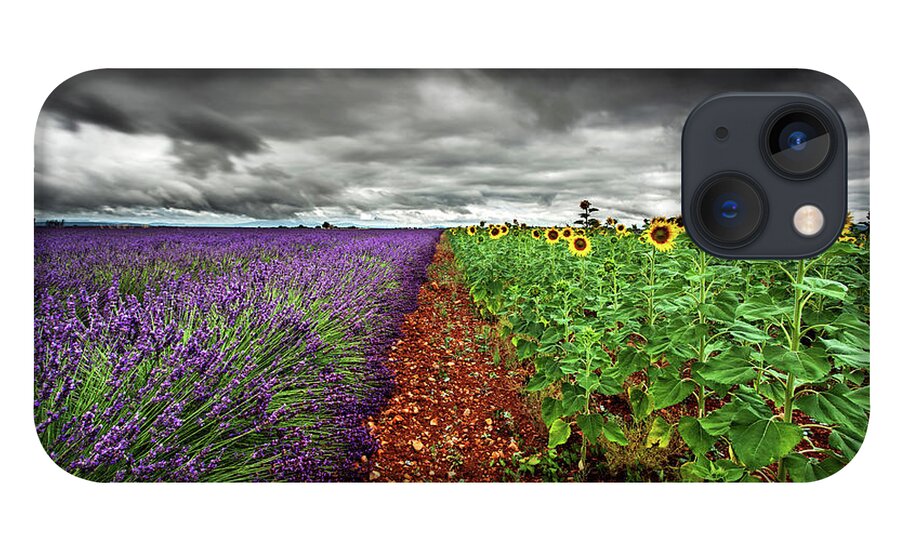 Landscape iPhone 13 Case featuring the photograph At the middle by Jorge Maia