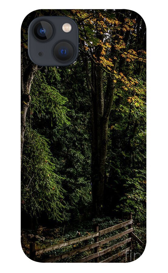 Autumn iPhone 13 Case featuring the photograph Autumn Fence by David Hillier
