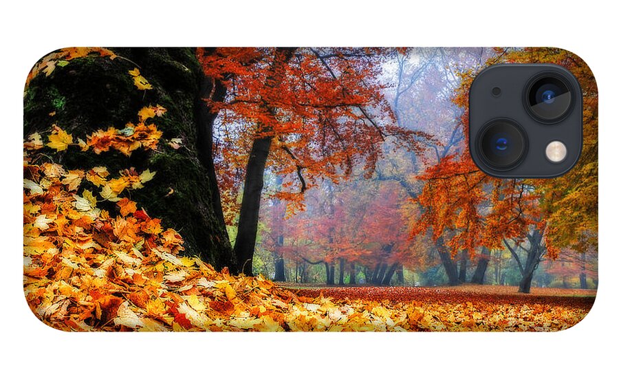 Autumn iPhone 13 Case featuring the photograph Autumn In The Woodland by Hannes Cmarits