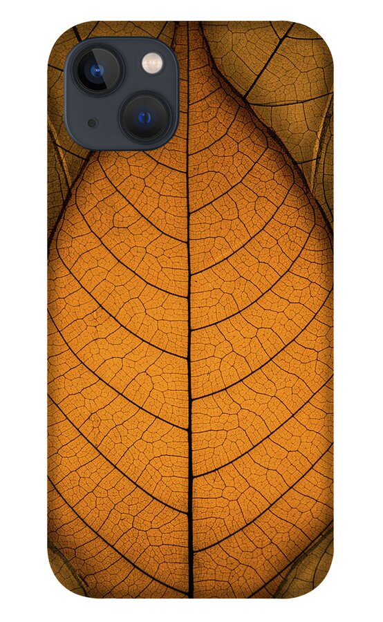 Autumn iPhone 13 Case featuring the photograph Autumn Leaves by Paul Wear