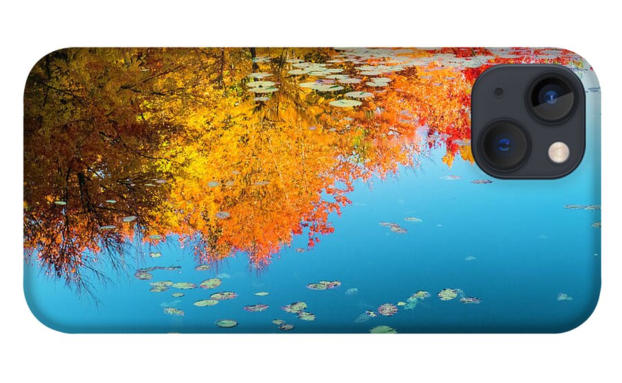 Intimate Landscape iPhone 13 Case featuring the photograph Autumn Reflections by John Roach
