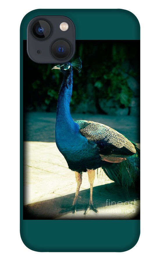 Peacock iPhone 13 Case featuring the photograph Awakening by Kathy Strauss