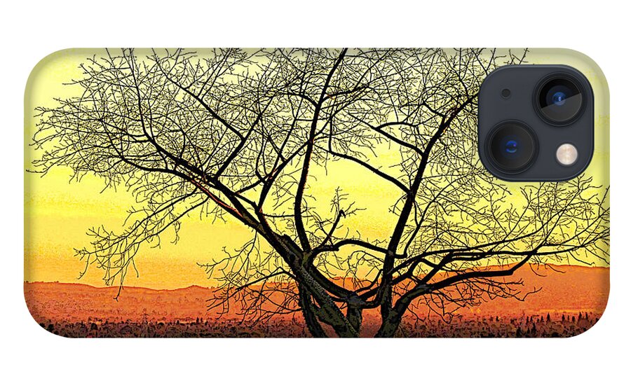 Tree iPhone 13 Case featuring the photograph Azusa Sentinel by Pat Wagner