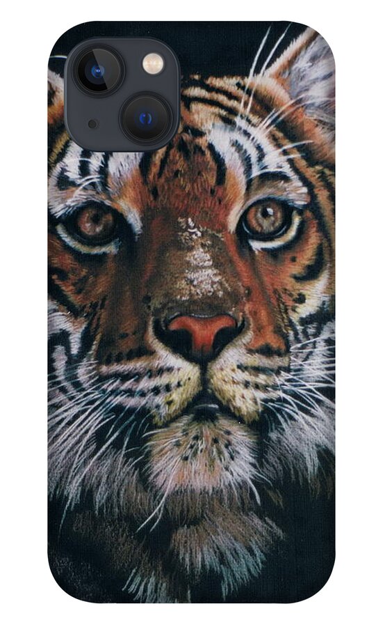 Tiger iPhone 13 Case featuring the drawing Backlit Tiger by Barbara Keith