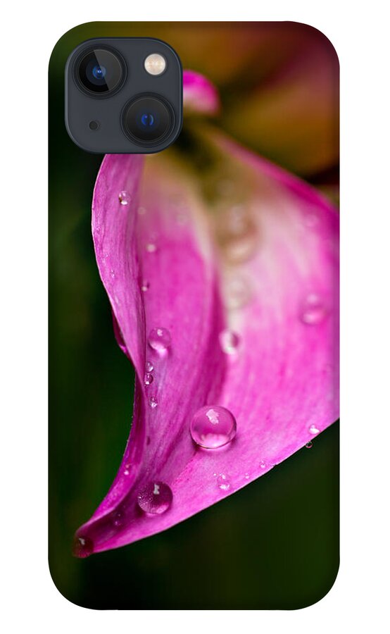 Floral iPhone 13 Case featuring the photograph Balancing Act by Mary Jo Allen