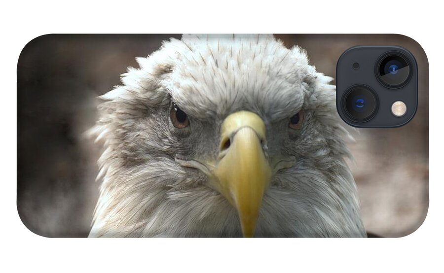 Bald Eagle iPhone 13 Case featuring the photograph Bald Eagle 450 by Joyce StJames
