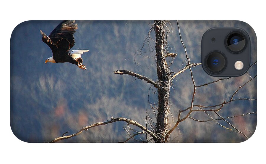 Bald Eagle iPhone 13 Case featuring the photograph Bald Eagle at Boxley Mill Pond by Michael Dougherty