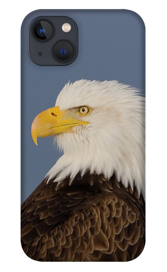 Eagles iPhone 13 Case featuring the photograph Bald Eagle Portrait by Mark Miller