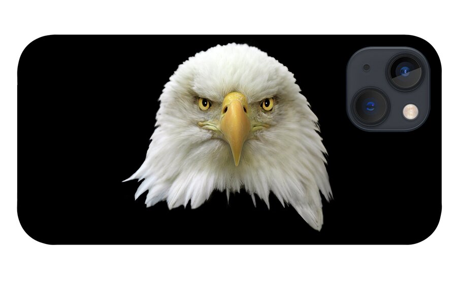 Bald Eagle iPhone 13 Case featuring the photograph Bald Eagle by Shane Bechler