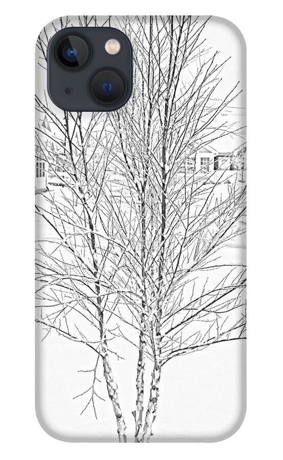 Bare iPhone 13 Case featuring the photograph Bare Naked Tree by Roberta Byram