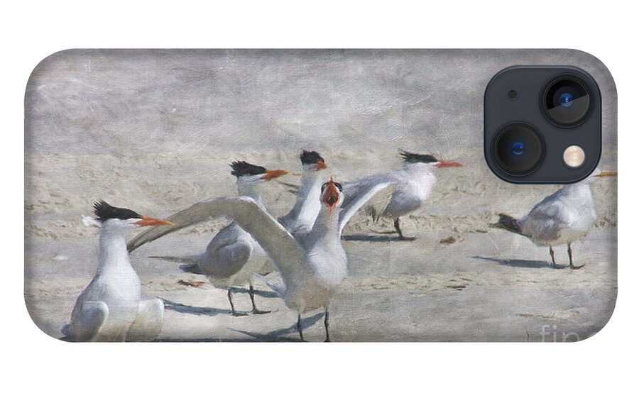 Royal Tern iPhone 13 Case featuring the digital art Beach Party by Jayne Carney