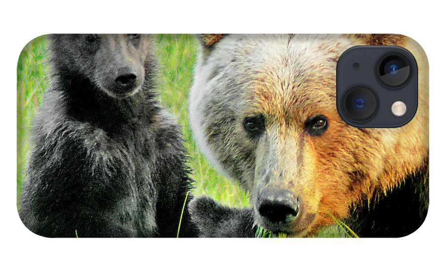 Grizzly iPhone 13 Case featuring the photograph Bear Family Portraait by Ted Keller