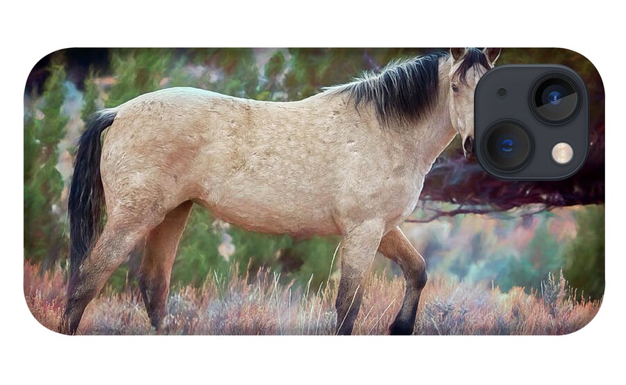 Wild Horse iPhone 13 Case featuring the photograph Beautiful Buckskin by Belinda Greb