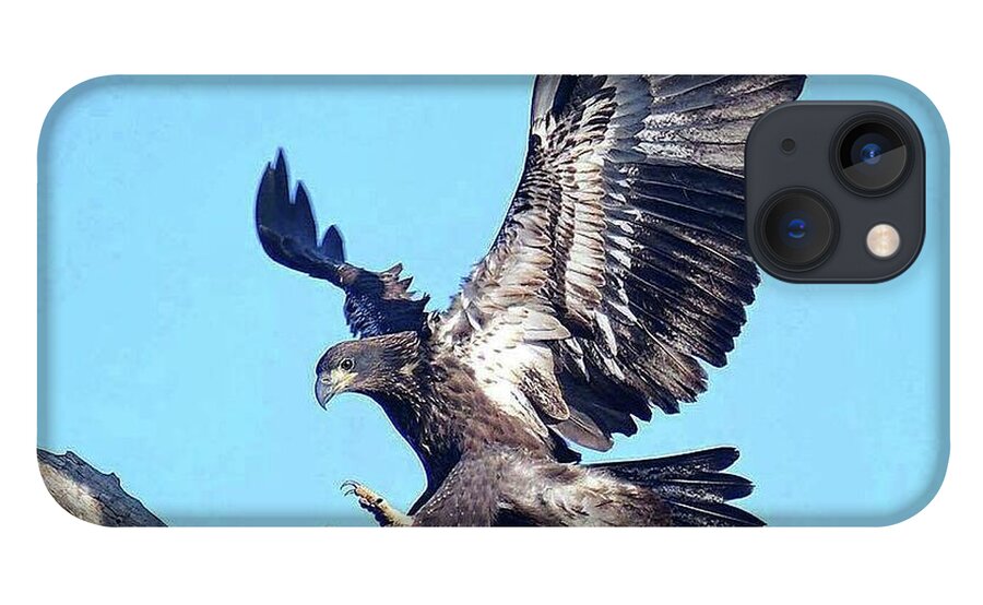 Bald Eagles iPhone 13 Case featuring the photograph Beautiful landing E9 by Liz Grindstaff