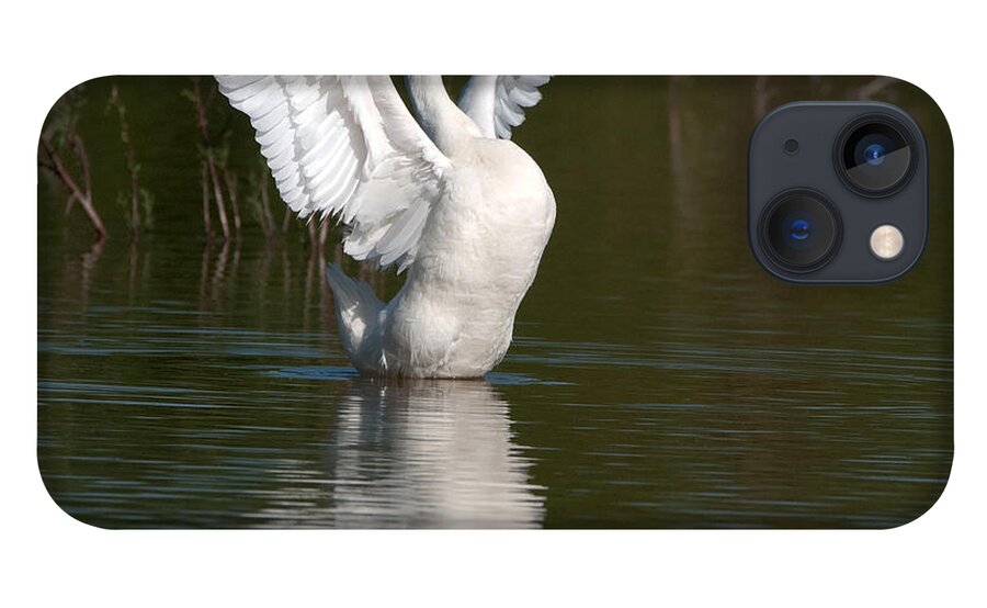 Goose iPhone 13 Case featuring the photograph Beauty by Tam Ryan
