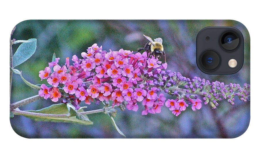 Bumble Bee iPhone 13 Case featuring the photograph Bee at Brunch by Janis Senungetuk