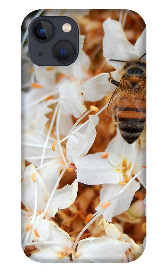 Flower iPhone 13 Case featuring the photograph Bee on Flowers 2 by Amy Fose