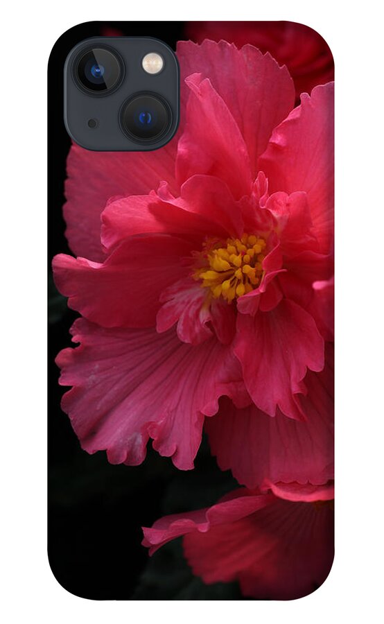 Flower iPhone 13 Case featuring the photograph Begonia by Tammy Pool