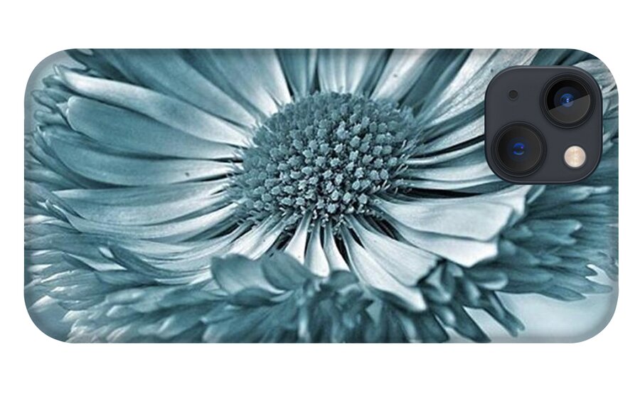 Beautiful iPhone 13 Case featuring the photograph Bellis In Cyan 
#flower #flowers by John Edwards