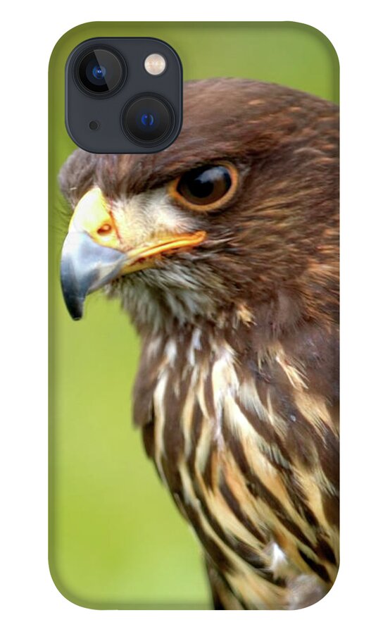 Bird iPhone 13 Case featuring the photograph Beware The Predator by Stephen Melia
