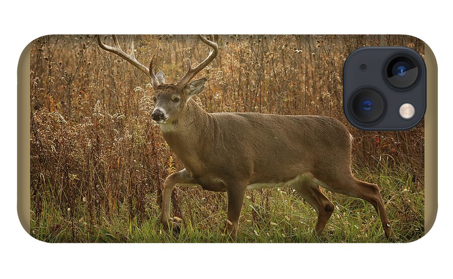 Deer iPhone 13 Case featuring the photograph Big Boy On the Move by Duane Cross