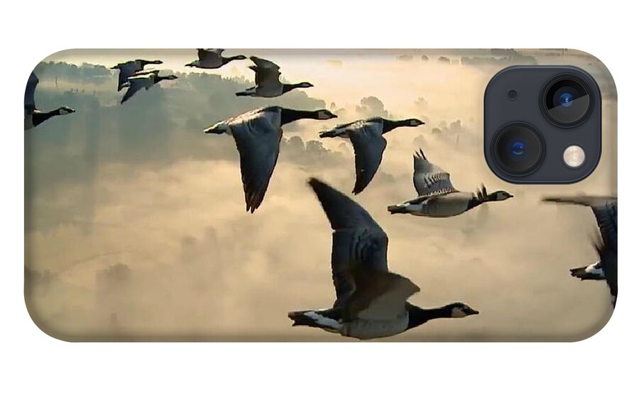 Birds iPhone 13 Case featuring the photograph Birds in Flight by Digital Art Cafe