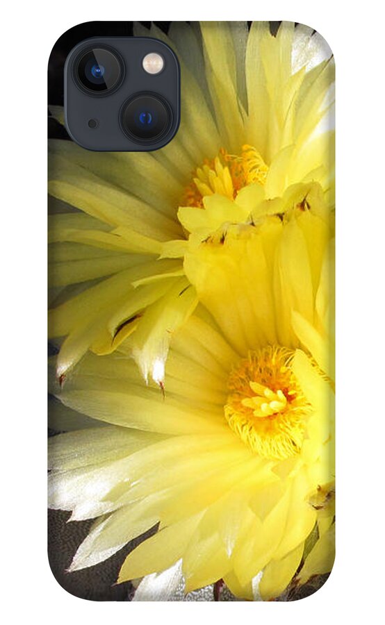 Bishops Cap iPhone 13 Case featuring the photograph Bishops Cap Bouquet by Kelly Holm