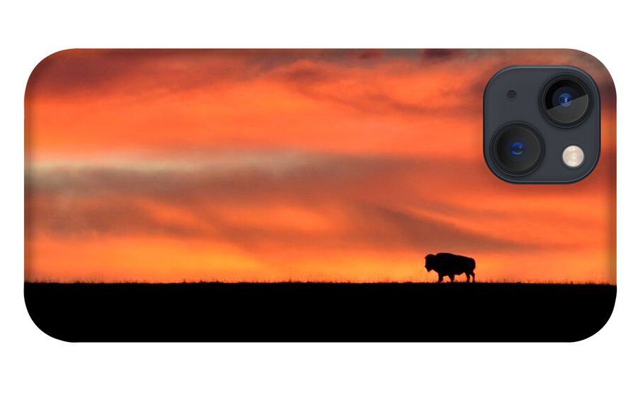  iPhone 13 Case featuring the photograph Bison in the Morning Light by Keith Stokes