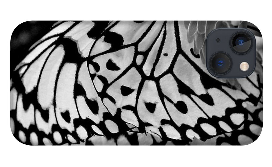 Photograph iPhone 13 Case featuring the photograph Black and white butterfly by Shelley Jones