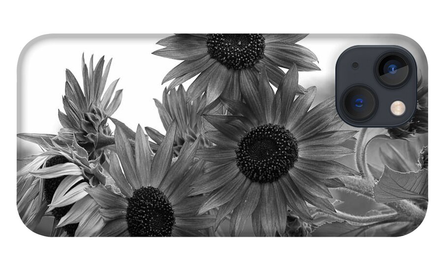 Flower iPhone 13 Case featuring the photograph Black and White Sunflowers by Amy Fose