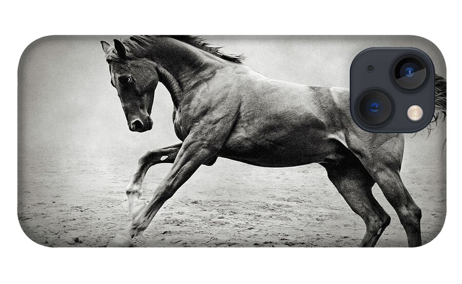 Horse iPhone 13 Case featuring the photograph Black horse in dust by Dimitar Hristov