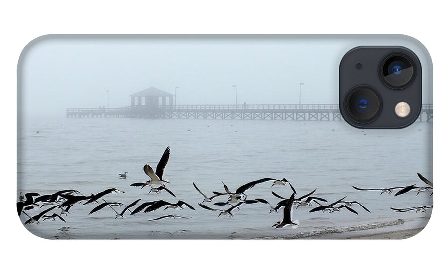 Shorebirds-flying Birds-at The Beach iPhone 13 Case featuring the photograph Black Skimmers - Biloxi Mississippi by Scott Cameron
