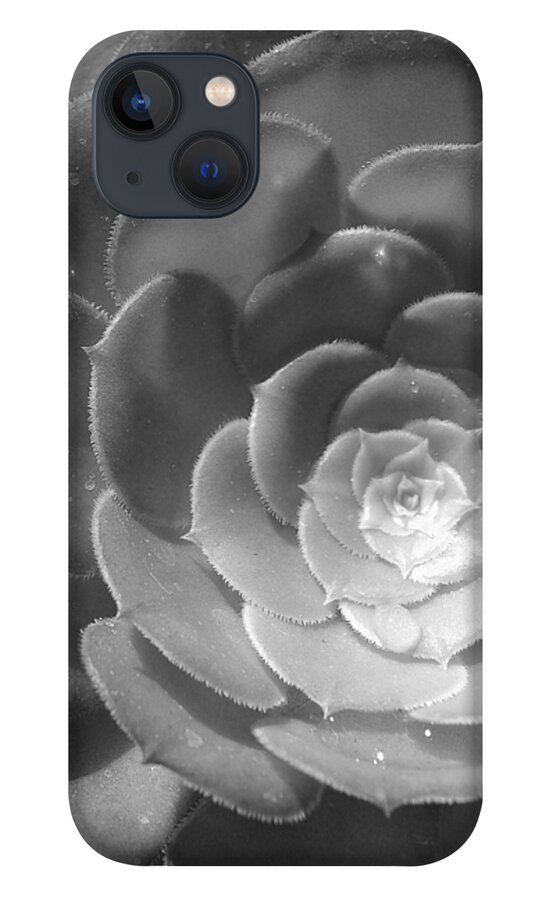 Flower iPhone 13 Case featuring the photograph Blackand White Cabbage Cactus by Amy Fose