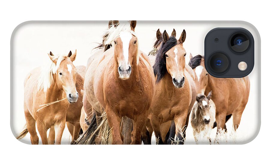 Mustangs iPhone 13 Case featuring the photograph Blondie's band by John T Humphrey