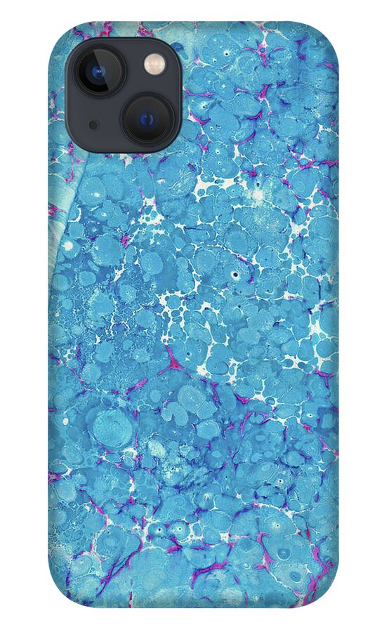 Water Marbling iPhone 13 Case featuring the painting Blue Battal #7 by Daniela Easter