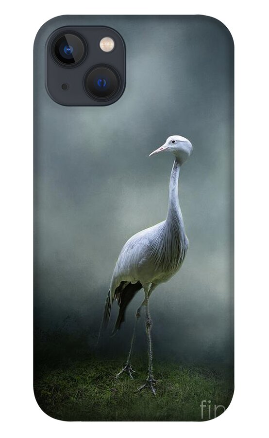 Blue Crane iPhone 13 Case featuring the photograph Paradise Crane by Eva Lechner